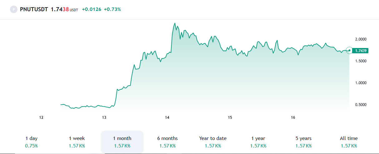pnut meme stock pnut usdt